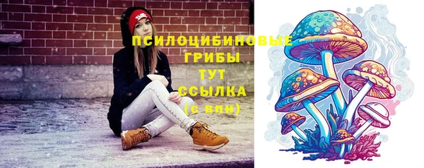 хмурый Кулебаки
