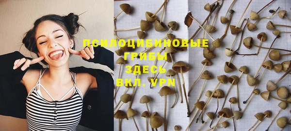 герыч Грязовец